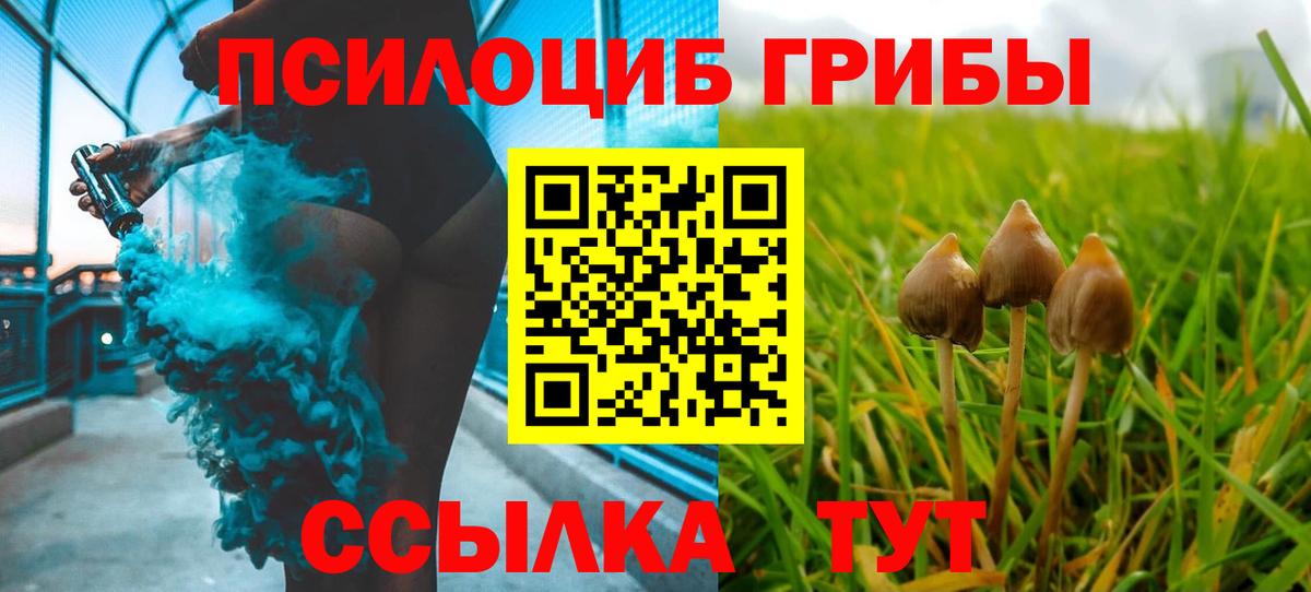 Казань  Галлюциногенные грибы Cubensis  Вход с VPN 