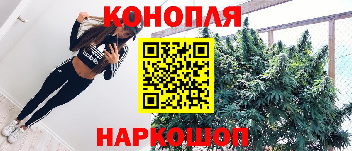 Бошки марихуана OG Kush Казань